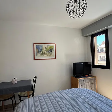 Centre-ville Avec Parking Et Animaux Acceptés - Fr-1-555-20 * Aix-les-Bains